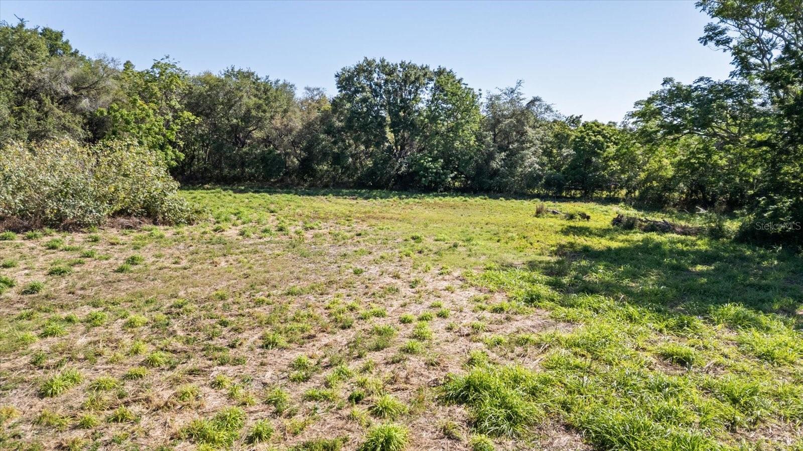 TBD TIMBERLAKE DR, MOUNT DORA, FL, 32757