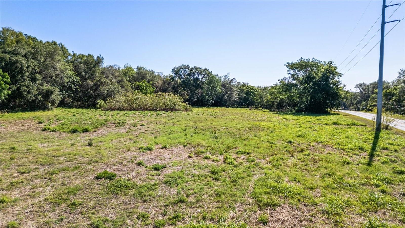 TBD TIMBERLAKE DR, MOUNT DORA, FL, 32757