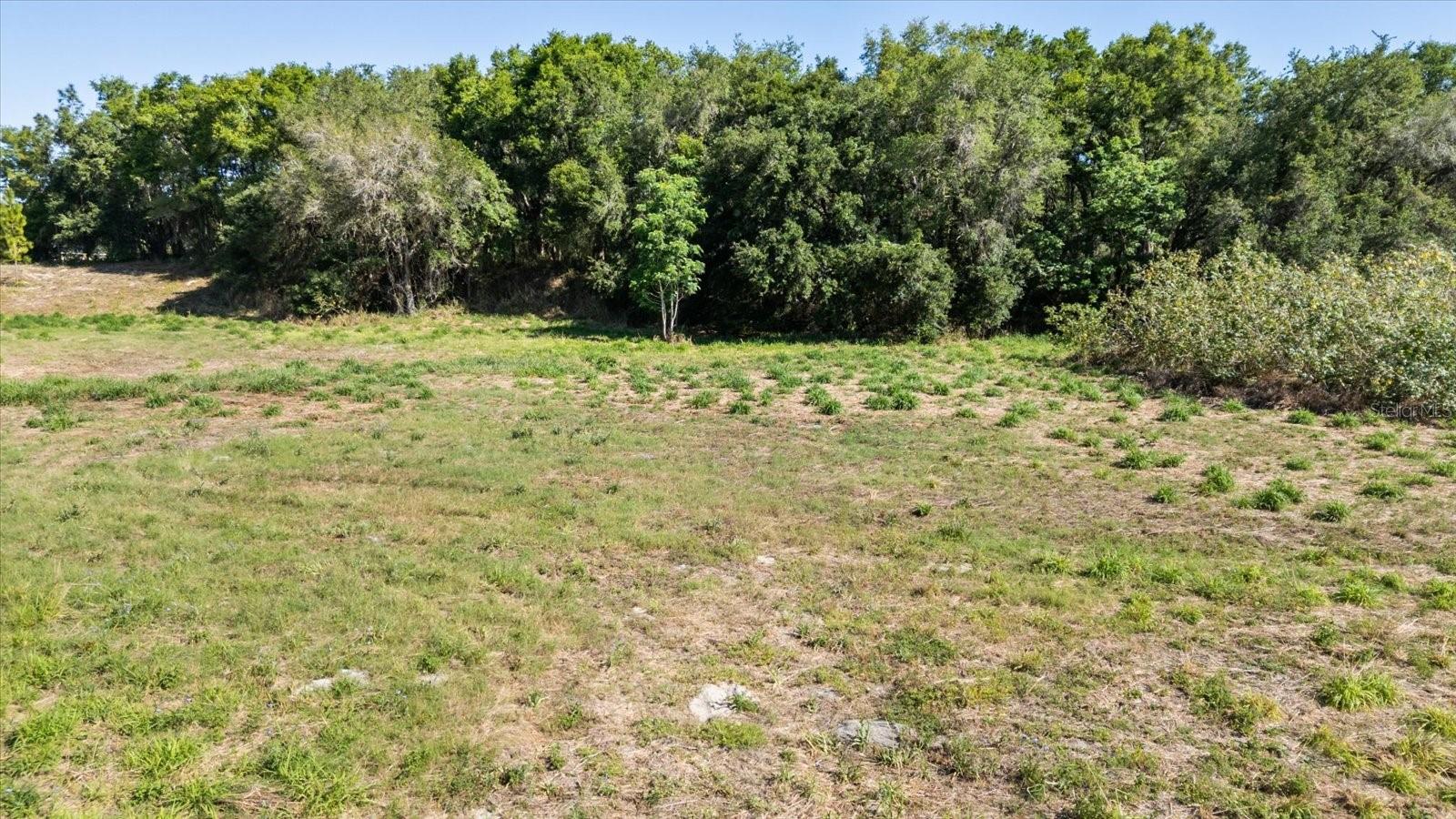 TBD TIMBERLAKE DR, MOUNT DORA, FL, 32757