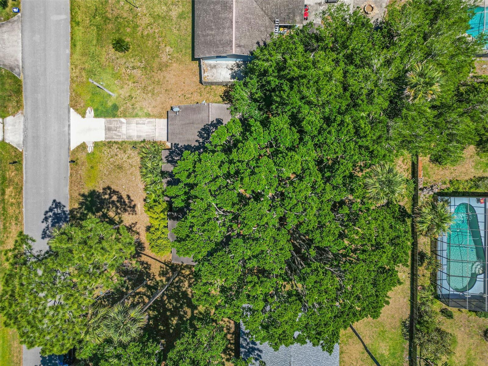 55 BLAKEMORE DR, PALM COAST, FL, 32137