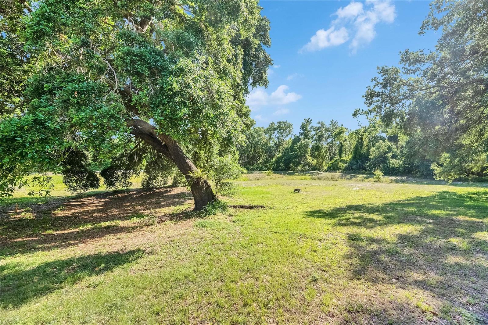 2362 LAKE WOODBERRY CIR, BRANDON, FL, 33510