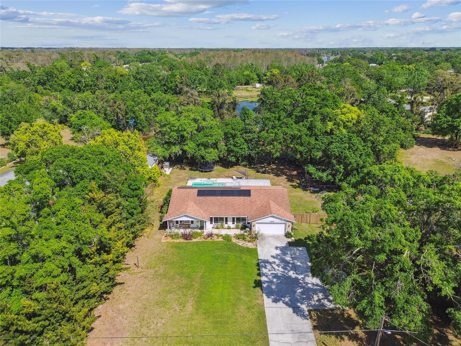 17605 SIMMONS RD, LUTZ, FL, 33548