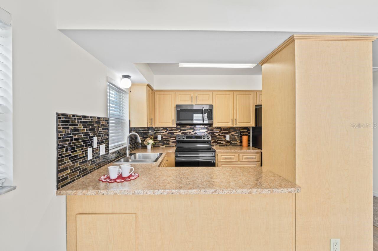 6047 ELMHURST DR #5A, NEW PORT RICHEY, FL, 34653