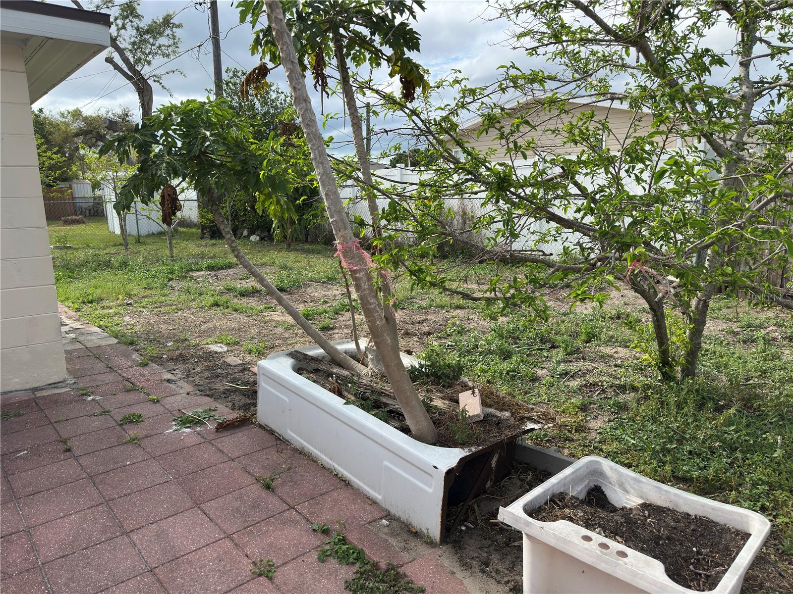 5151 JANICE LN, HOLIDAY, FL, 34690