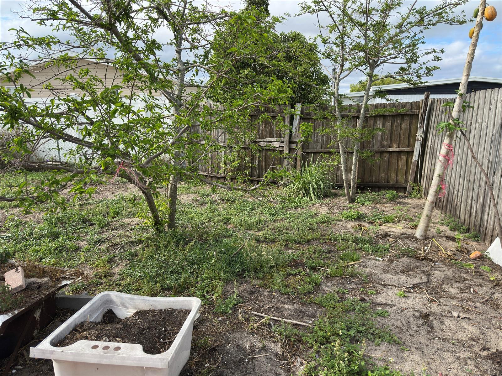 5151 JANICE LN, HOLIDAY, FL, 34690