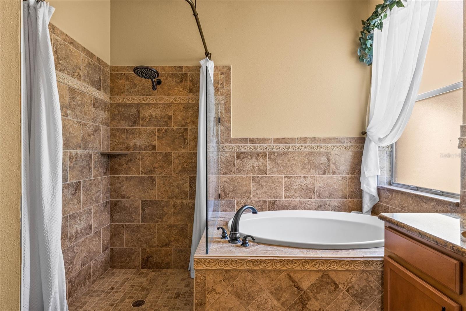 Ensuite Bath Walk in shower and garden tub