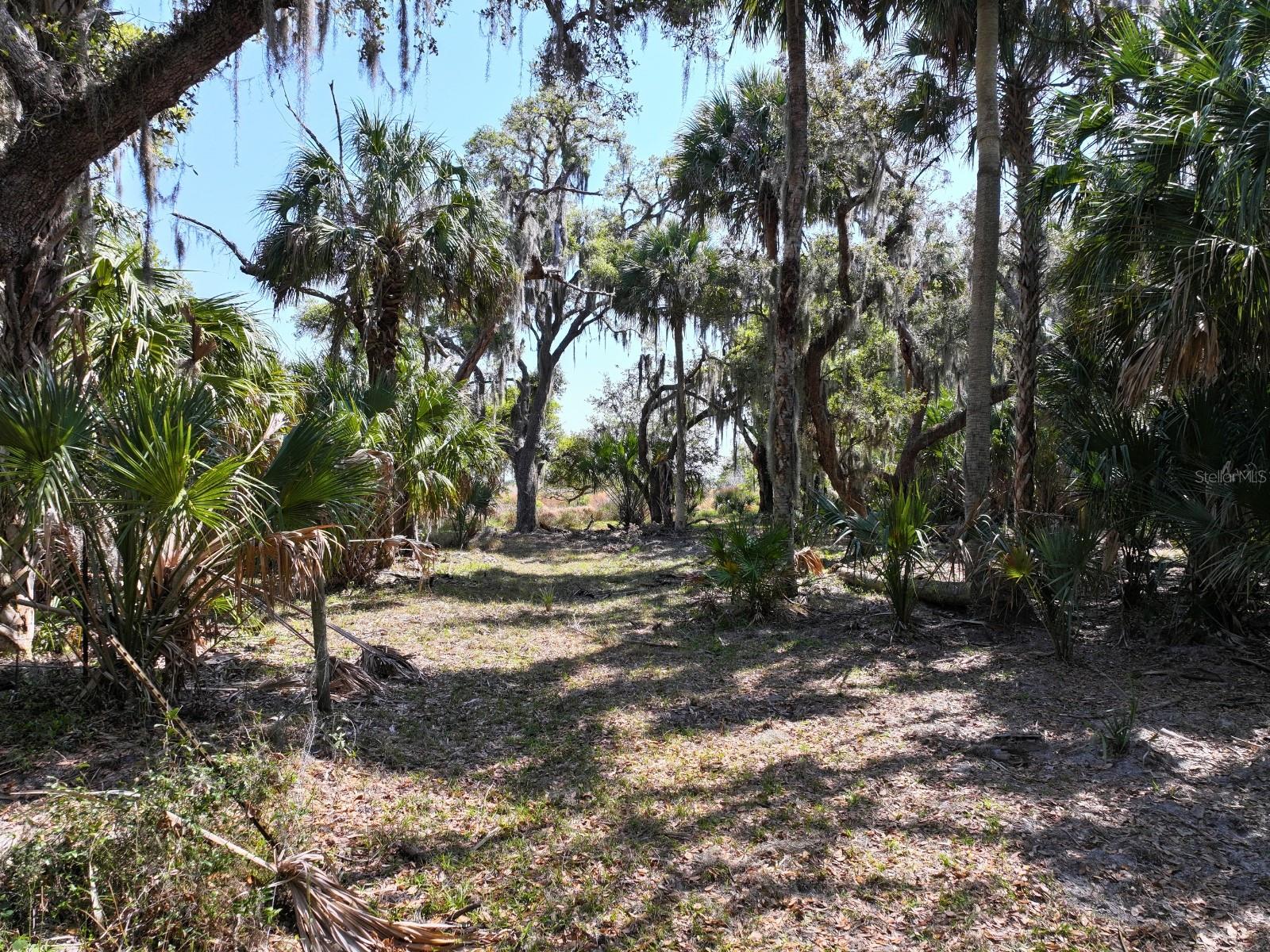 AMBER BELL TRL, LAKE PLACID, FL, 33852