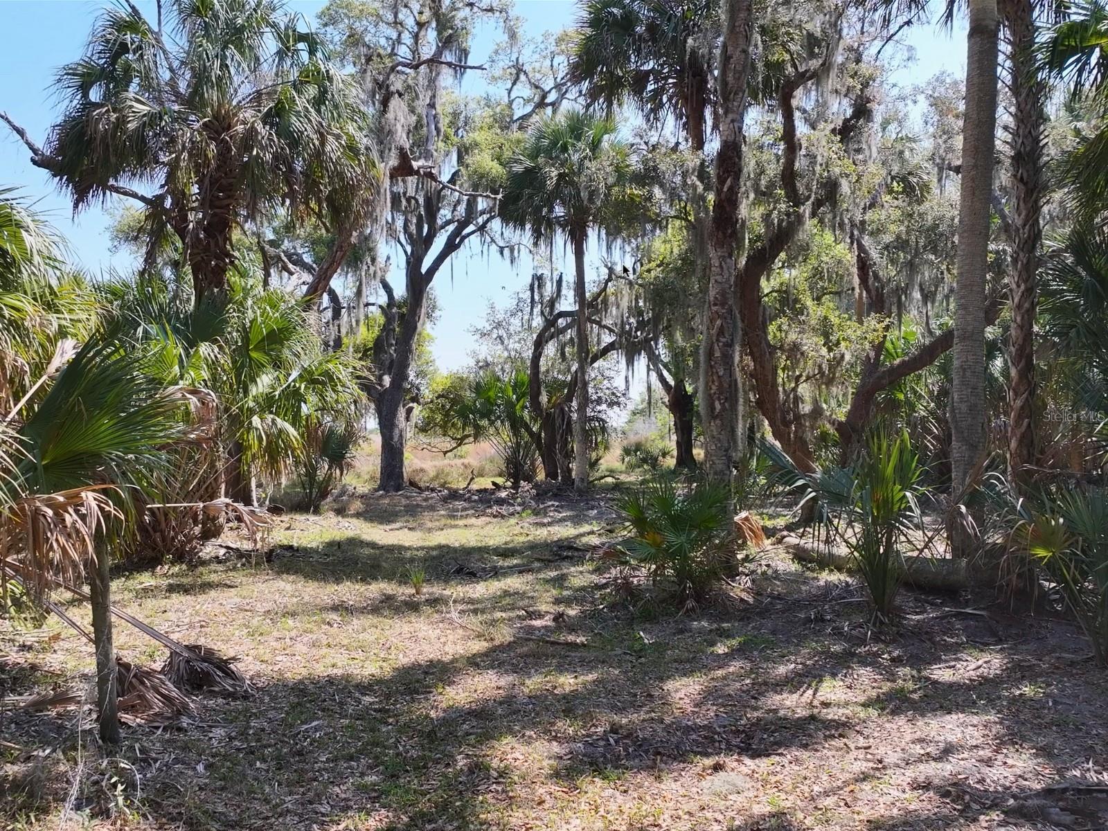 AMBER BELL TRL, LAKE PLACID, FL, 33852