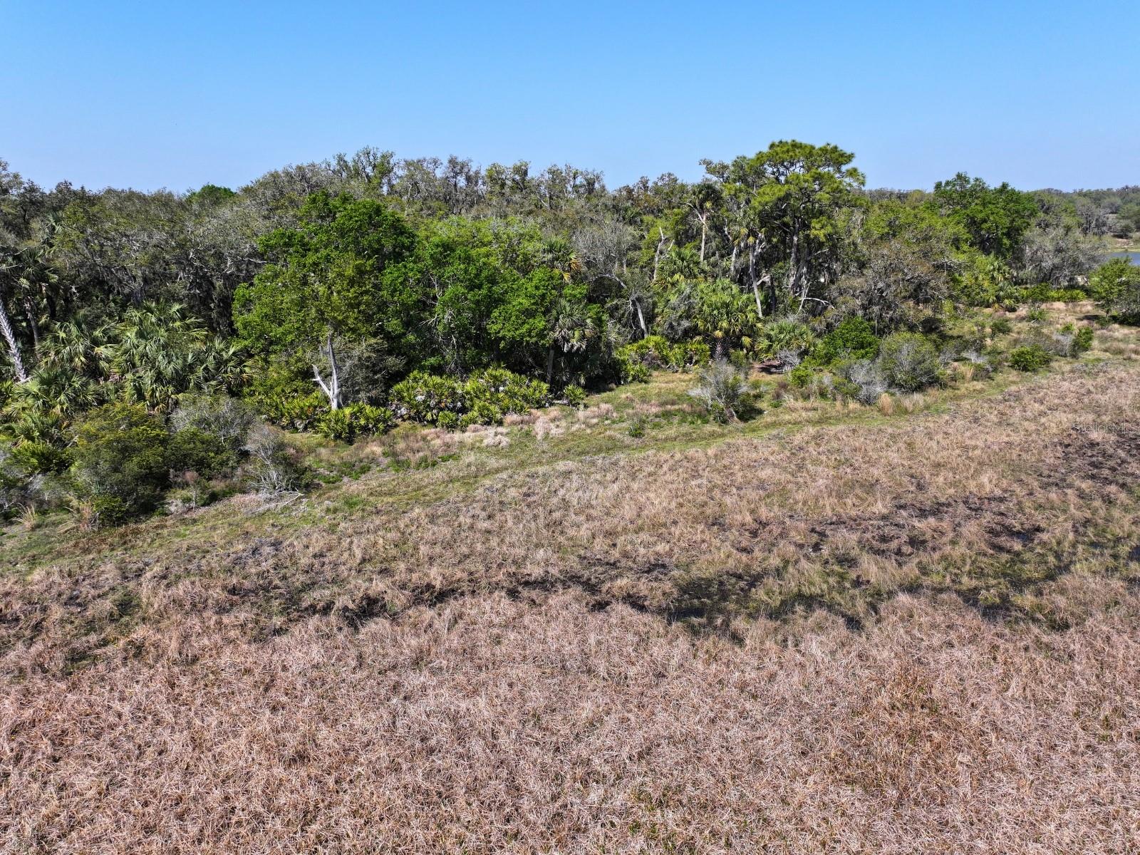AMBER BELL TRL, LAKE PLACID, FL, 33852