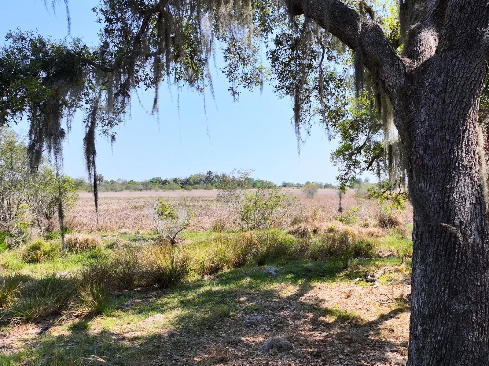 AMBER BELL TRL, LAKE PLACID, FL, 33852