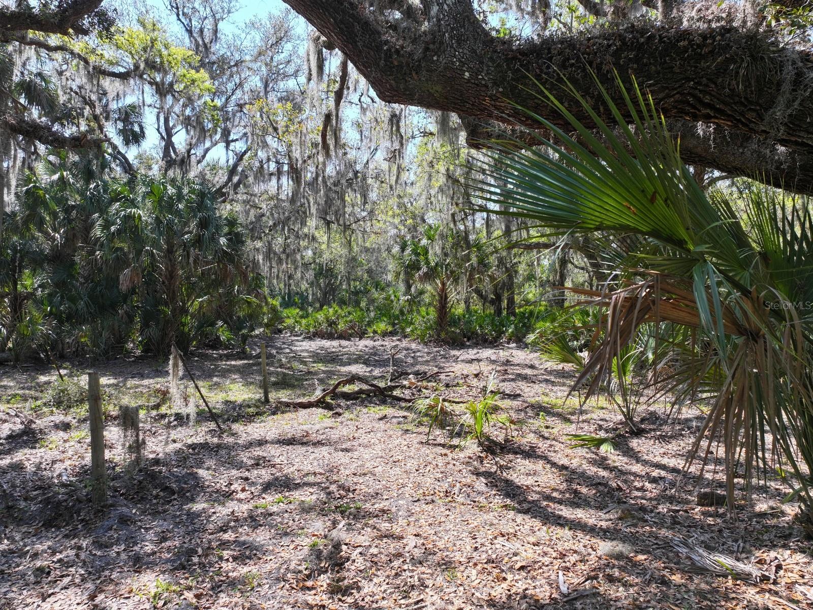 AMBER BELL TRL, LAKE PLACID, FL, 33852