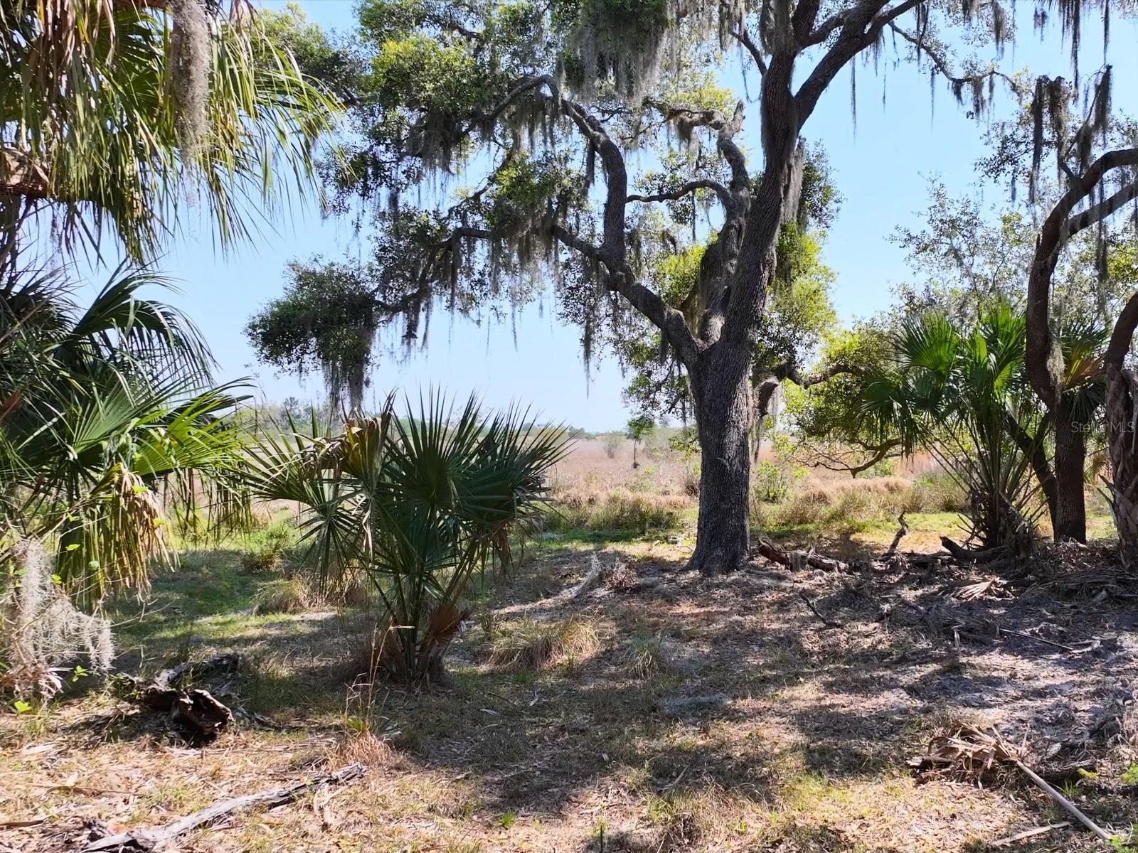 AMBER BELL TRL, LAKE PLACID, FL, 33852