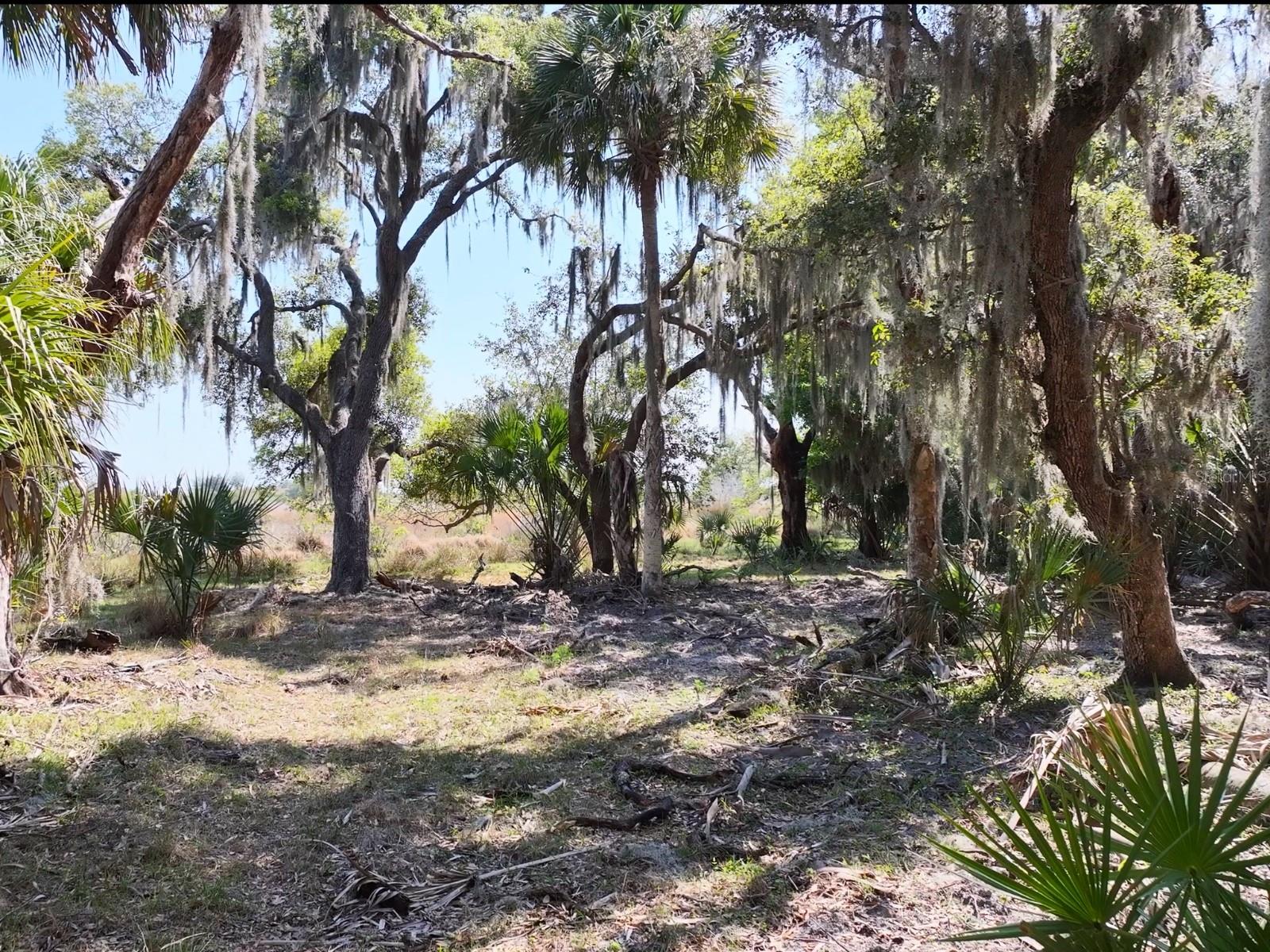 AMBER BELL TRL, LAKE PLACID, FL, 33852