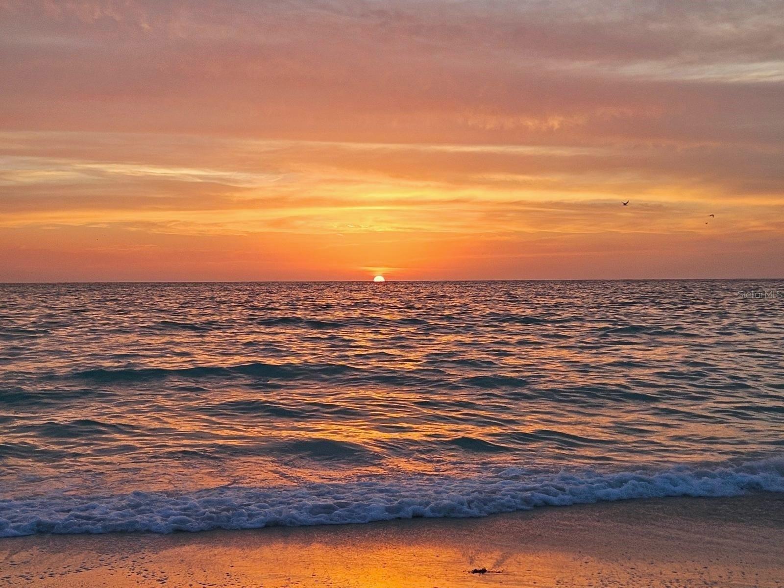 880 MANDALAY AVE #S511, CLEARWATER BEACH, FL, 33767