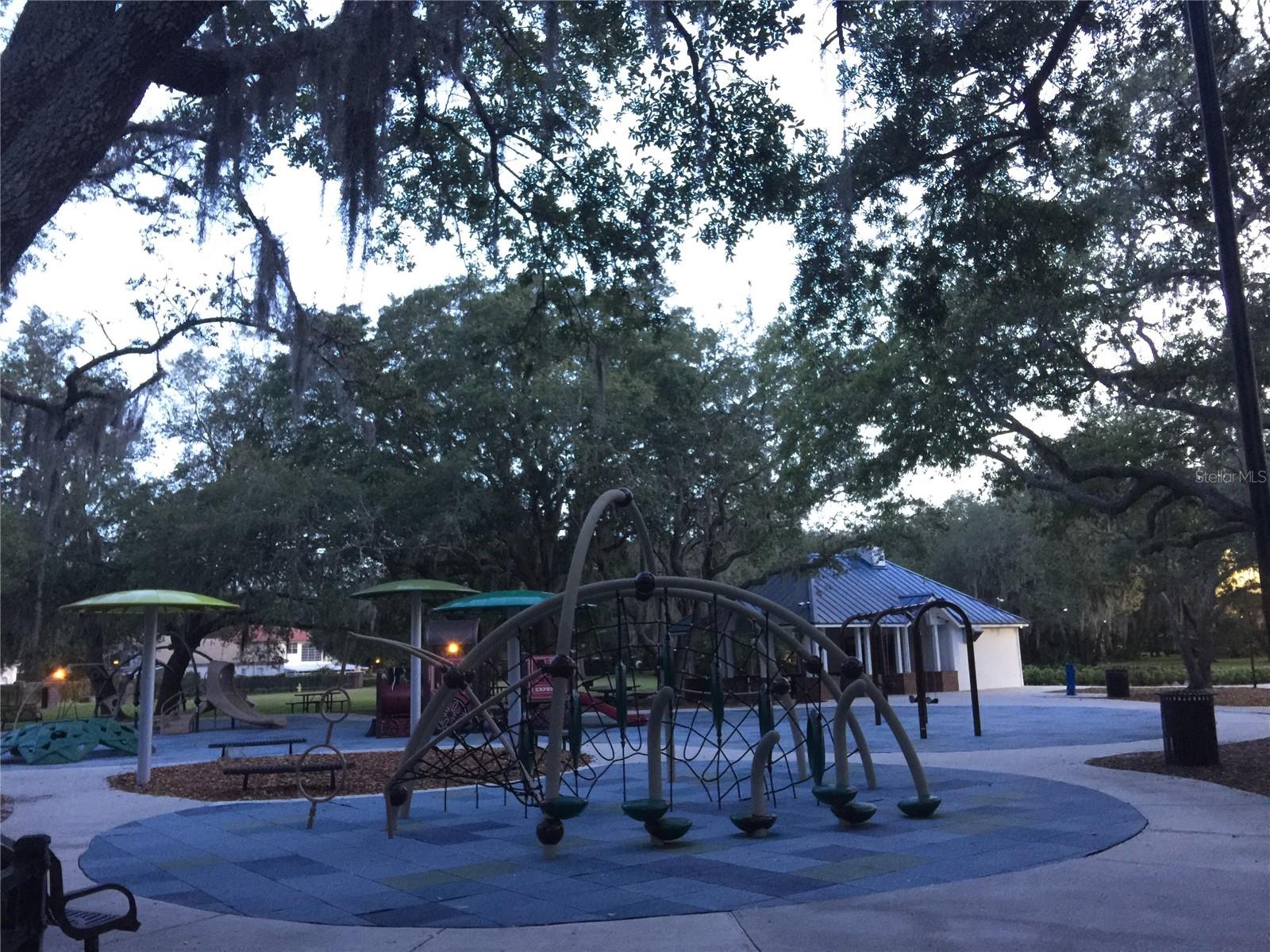 5100 BURCHETTE RD #3204, TAMPA, FL, 33647