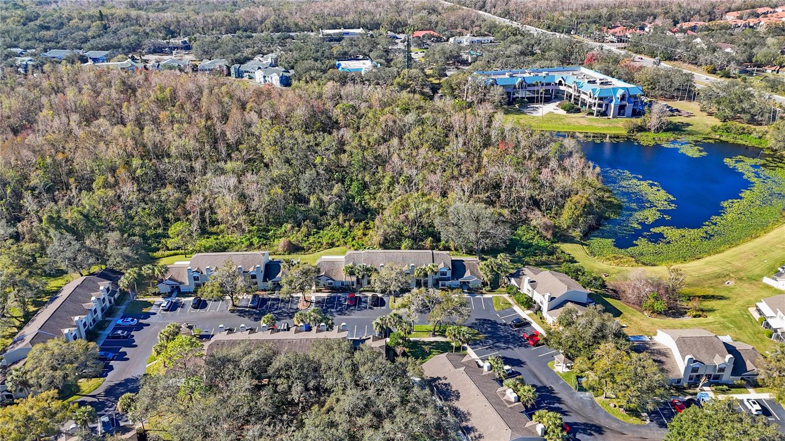 5100 BURCHETTE RD #3204, TAMPA, FL, 33647