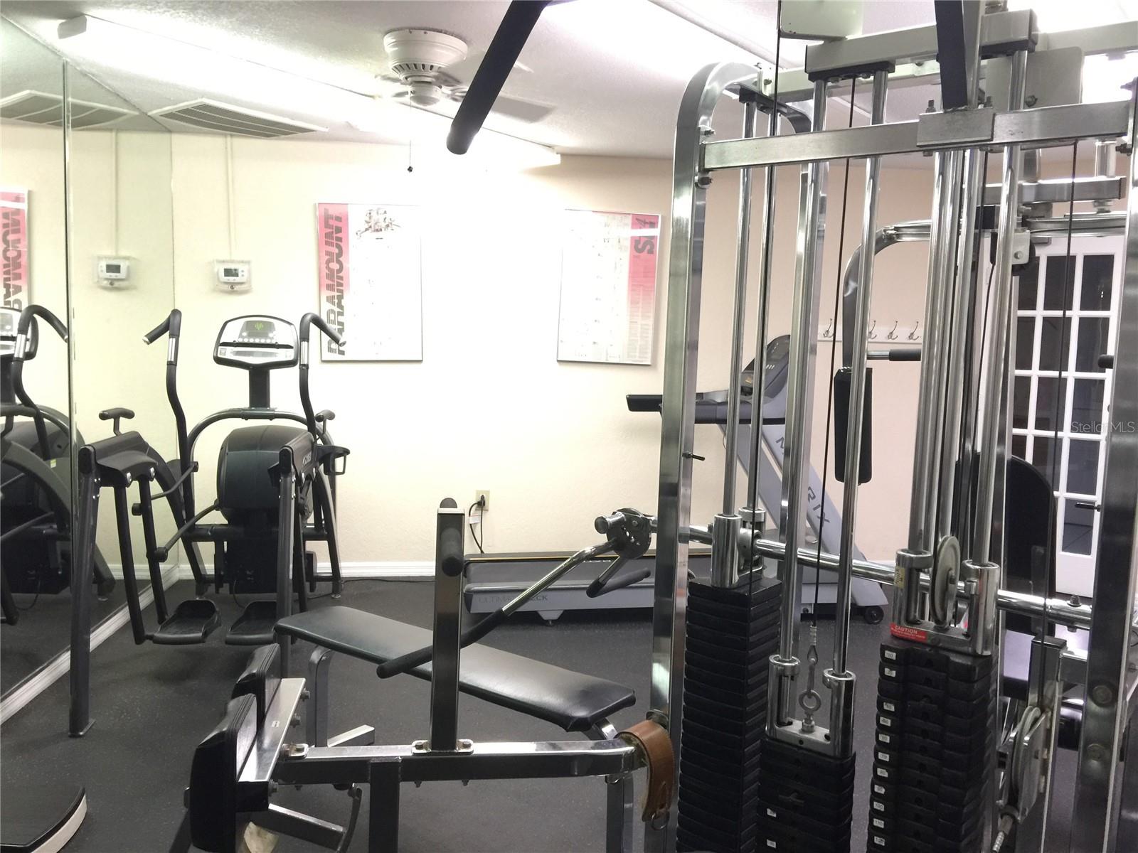 5100 BURCHETTE RD #3204, TAMPA, FL, 33647