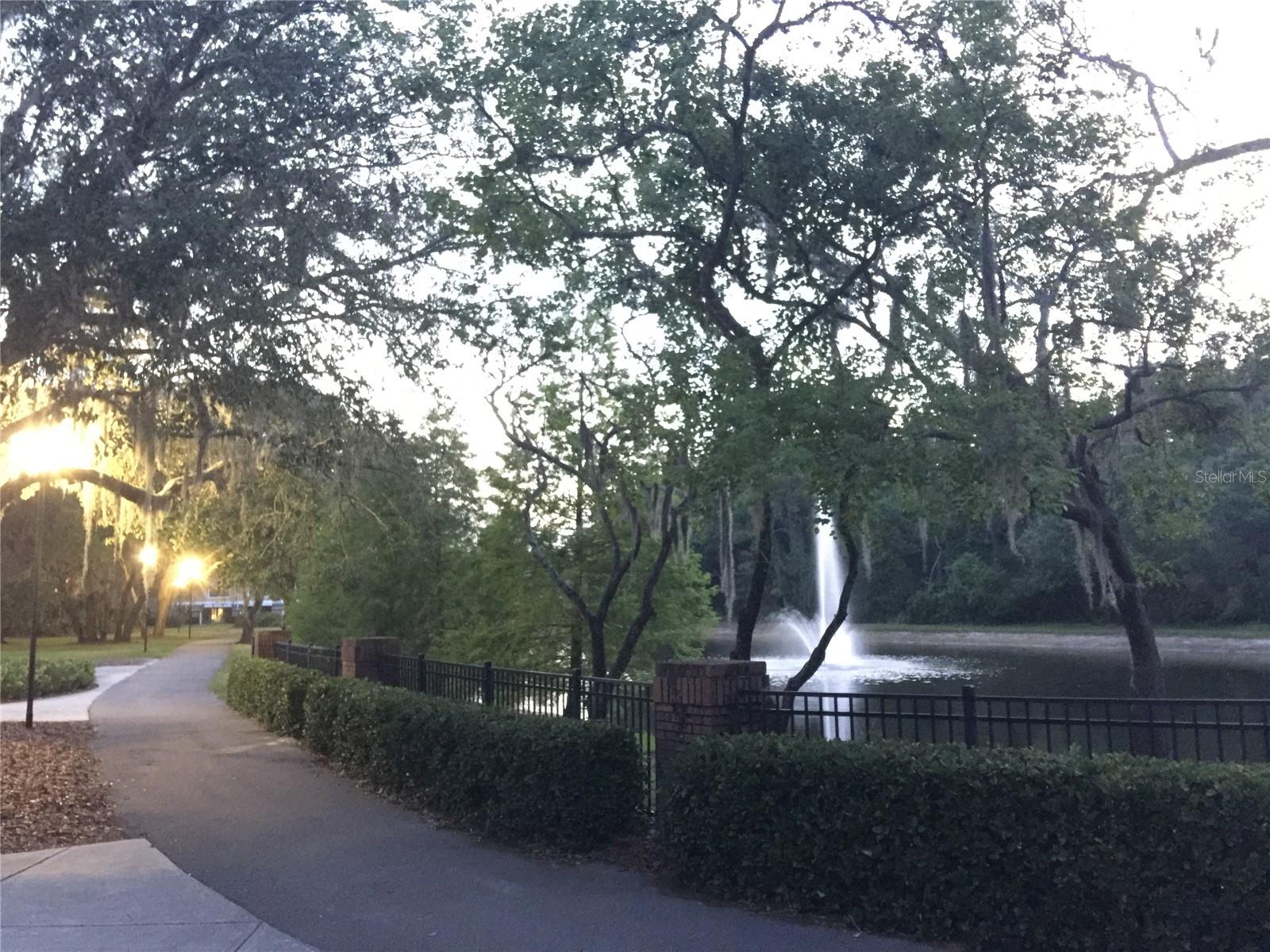 5100 BURCHETTE RD #3204, TAMPA, FL, 33647