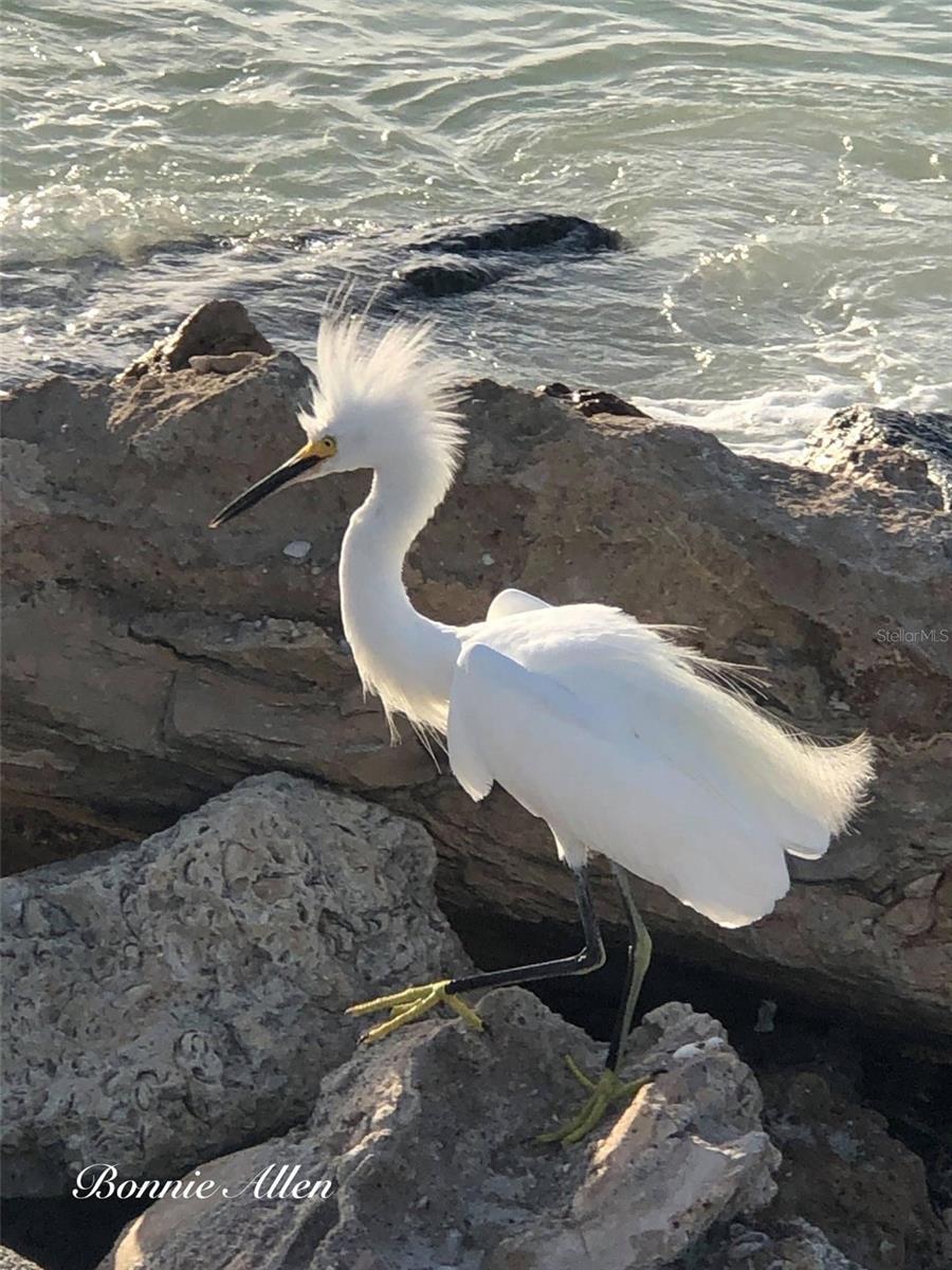 6446 TOWER DR, HUDSON, FL, 34667