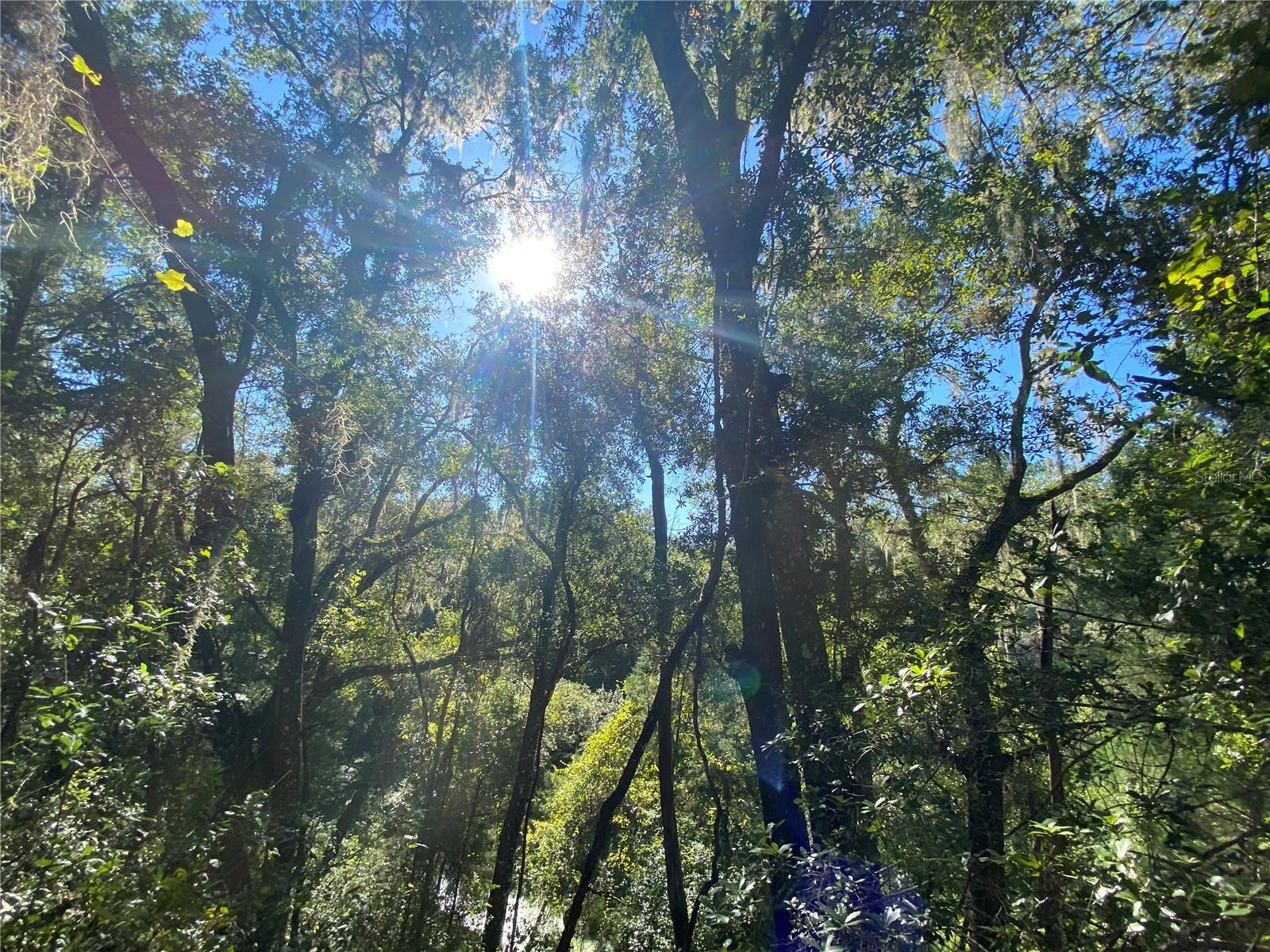 8701 S FRUITION AVE, FLORAL CITY, FL, 34436