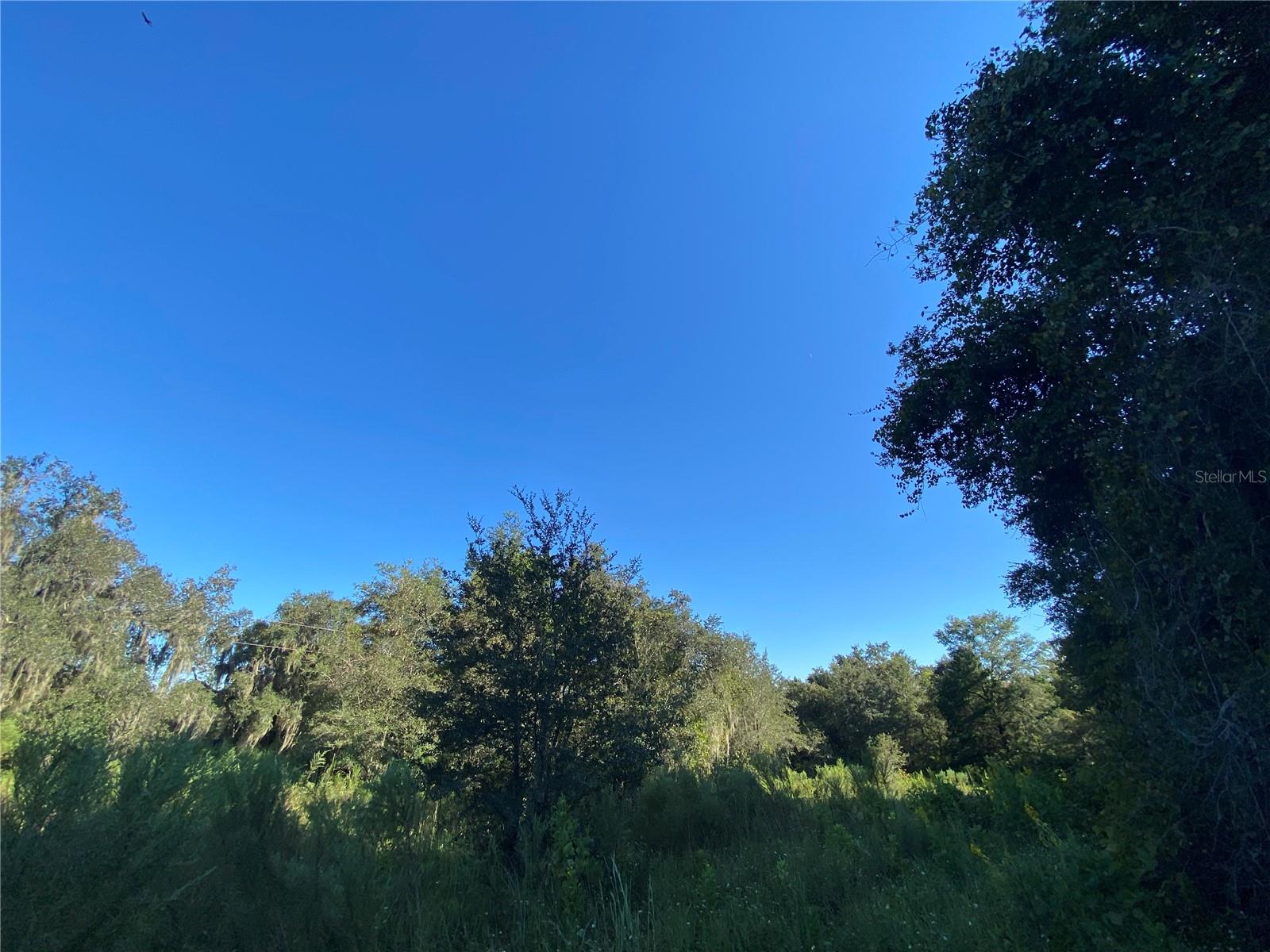 8701 S FRUITION AVE, FLORAL CITY, FL, 34436