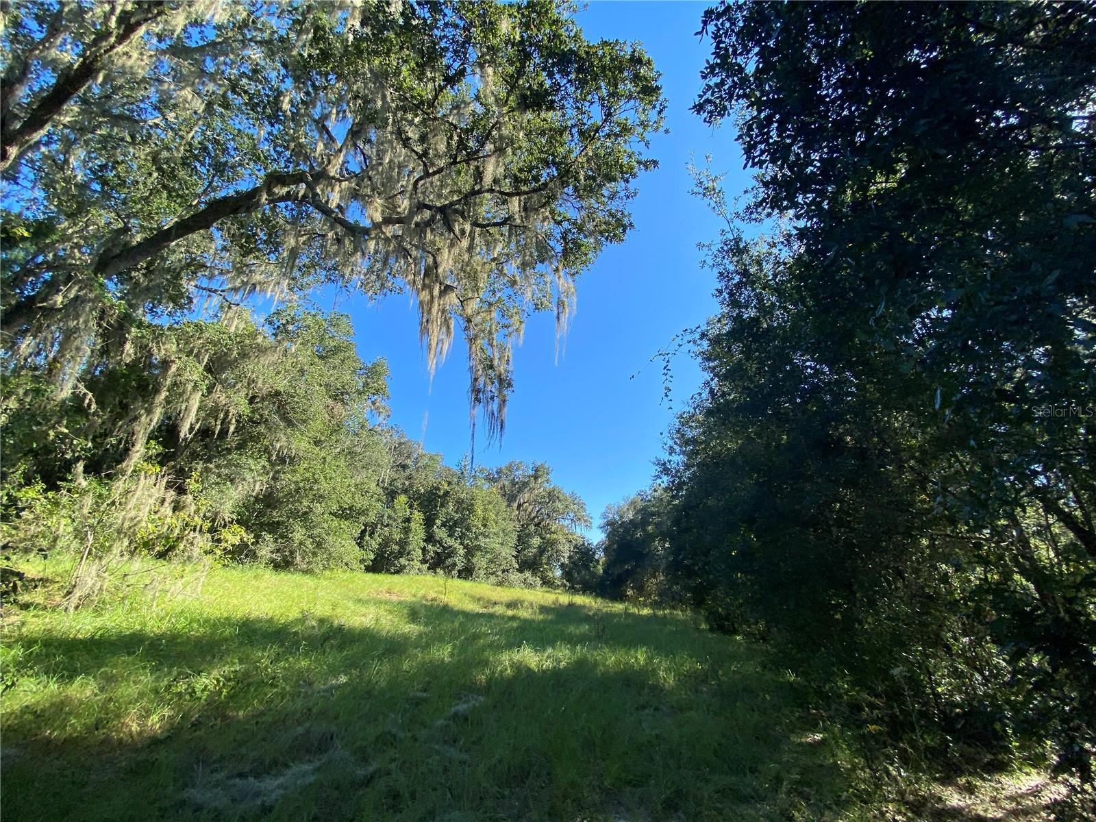 8701 S FRUITION AVE, FLORAL CITY, FL, 34436