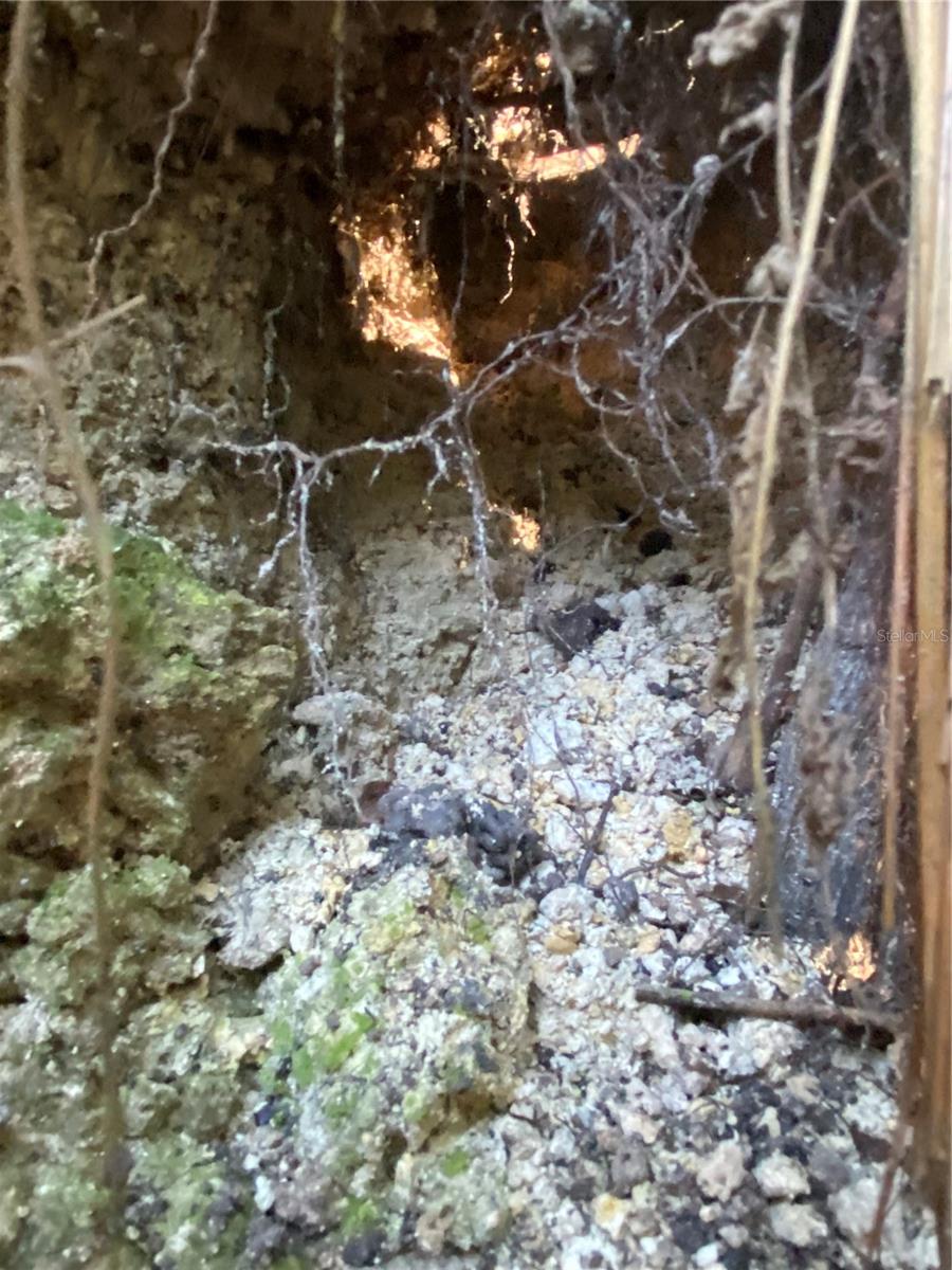 8701 S FRUITION AVE, FLORAL CITY, FL, 34436