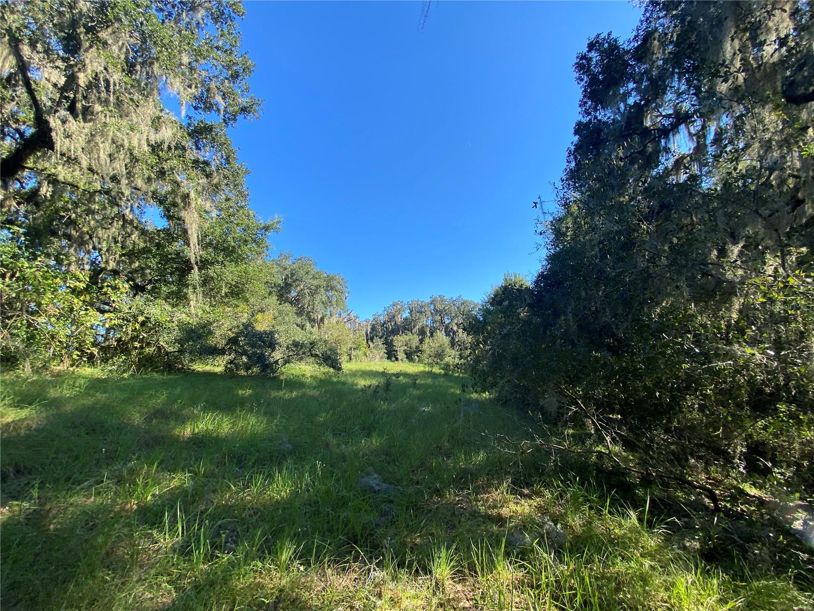 8701 S FRUITION AVE, FLORAL CITY, FL, 34436