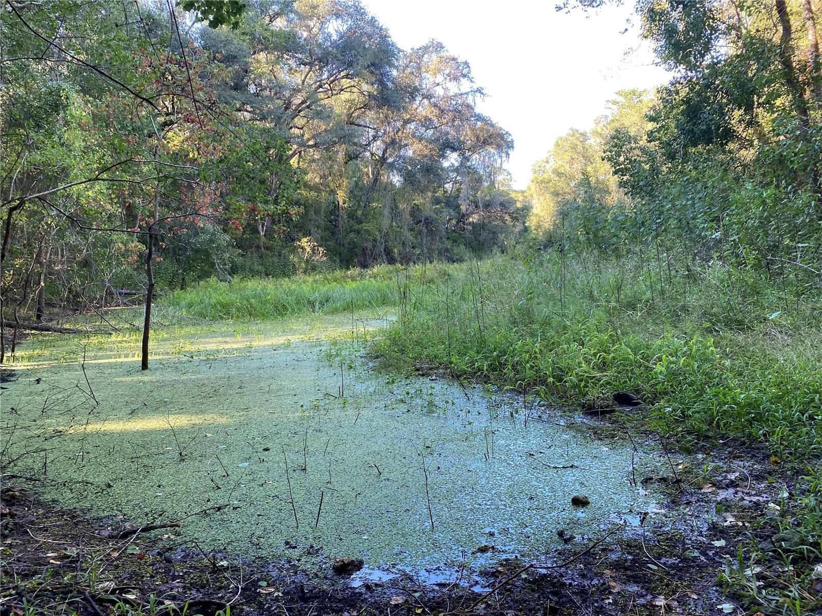 8701 S FRUITION AVE, FLORAL CITY, FL, 34436