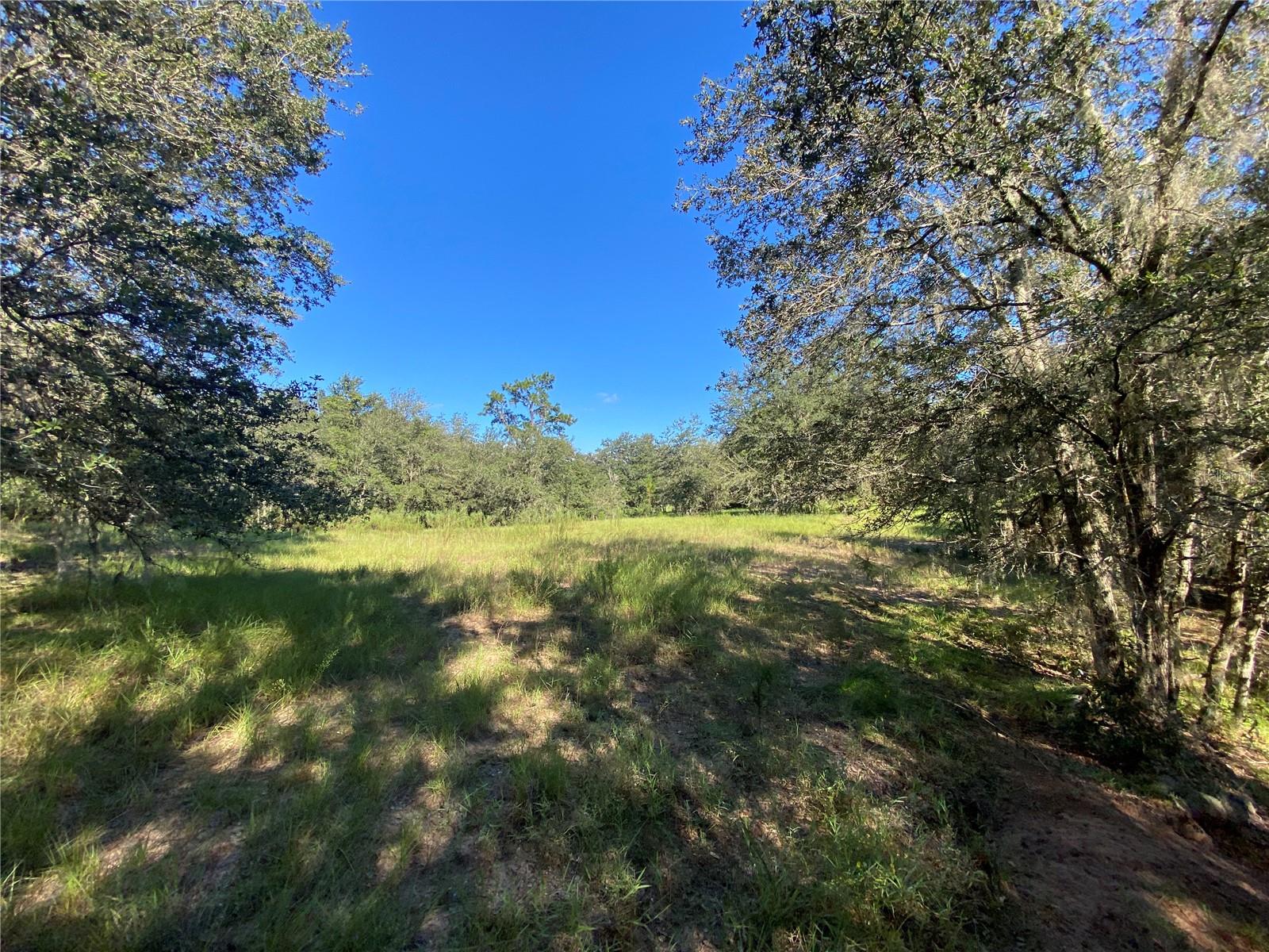 8701 S FRUITION AVE, FLORAL CITY, FL, 34436