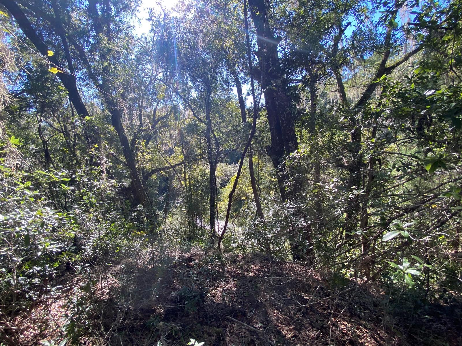 8701 S FRUITION AVE, FLORAL CITY, FL, 34436