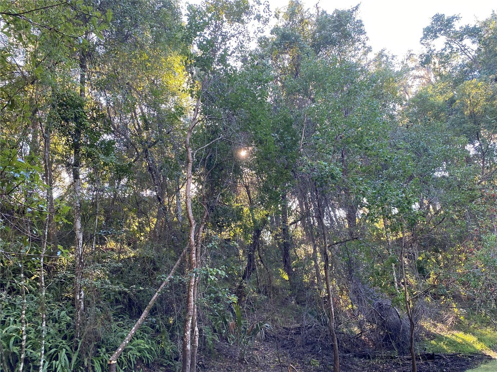 8701 S FRUITION AVE, FLORAL CITY, FL, 34436