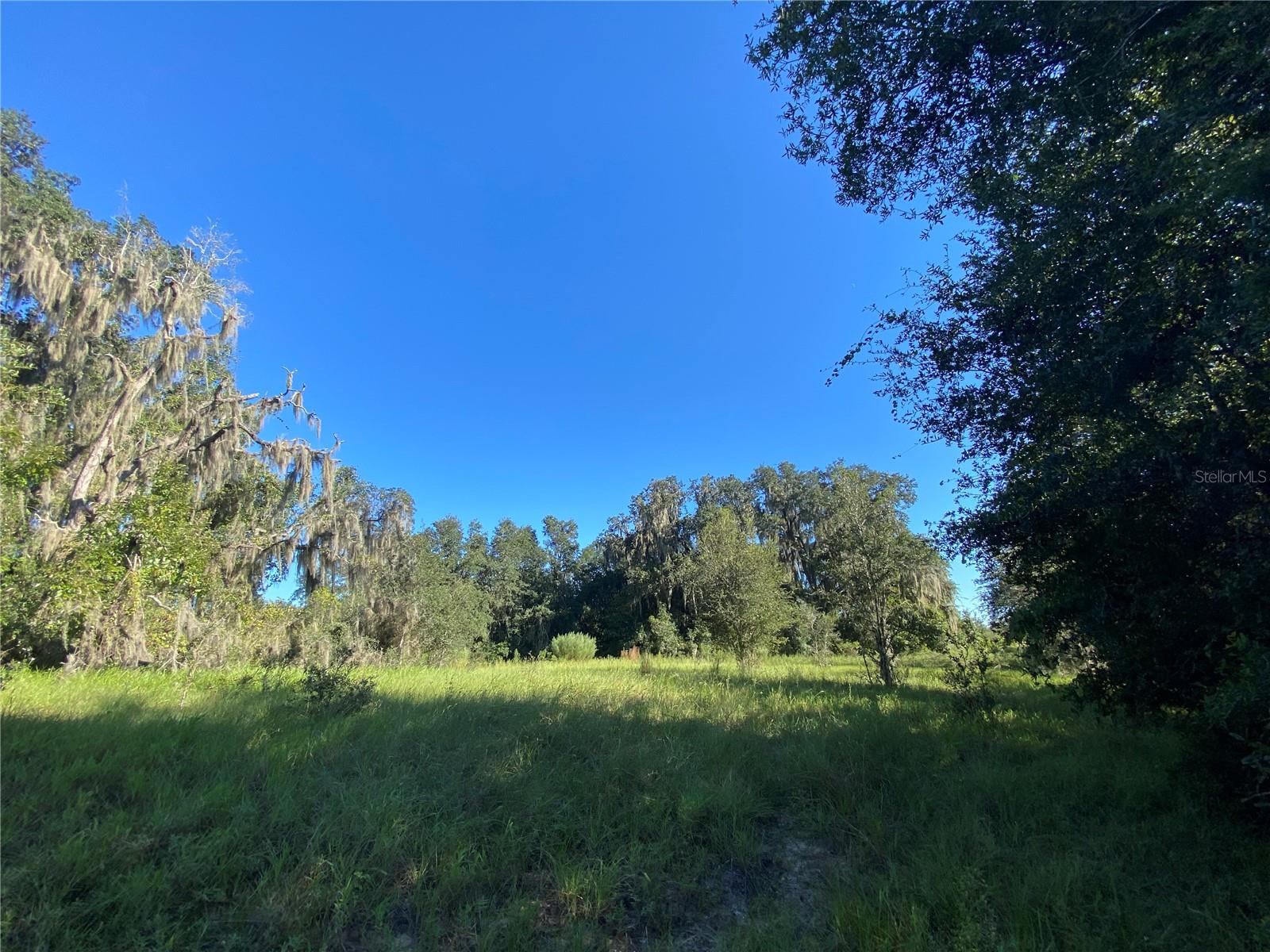 8701 S FRUITION AVE, FLORAL CITY, FL, 34436