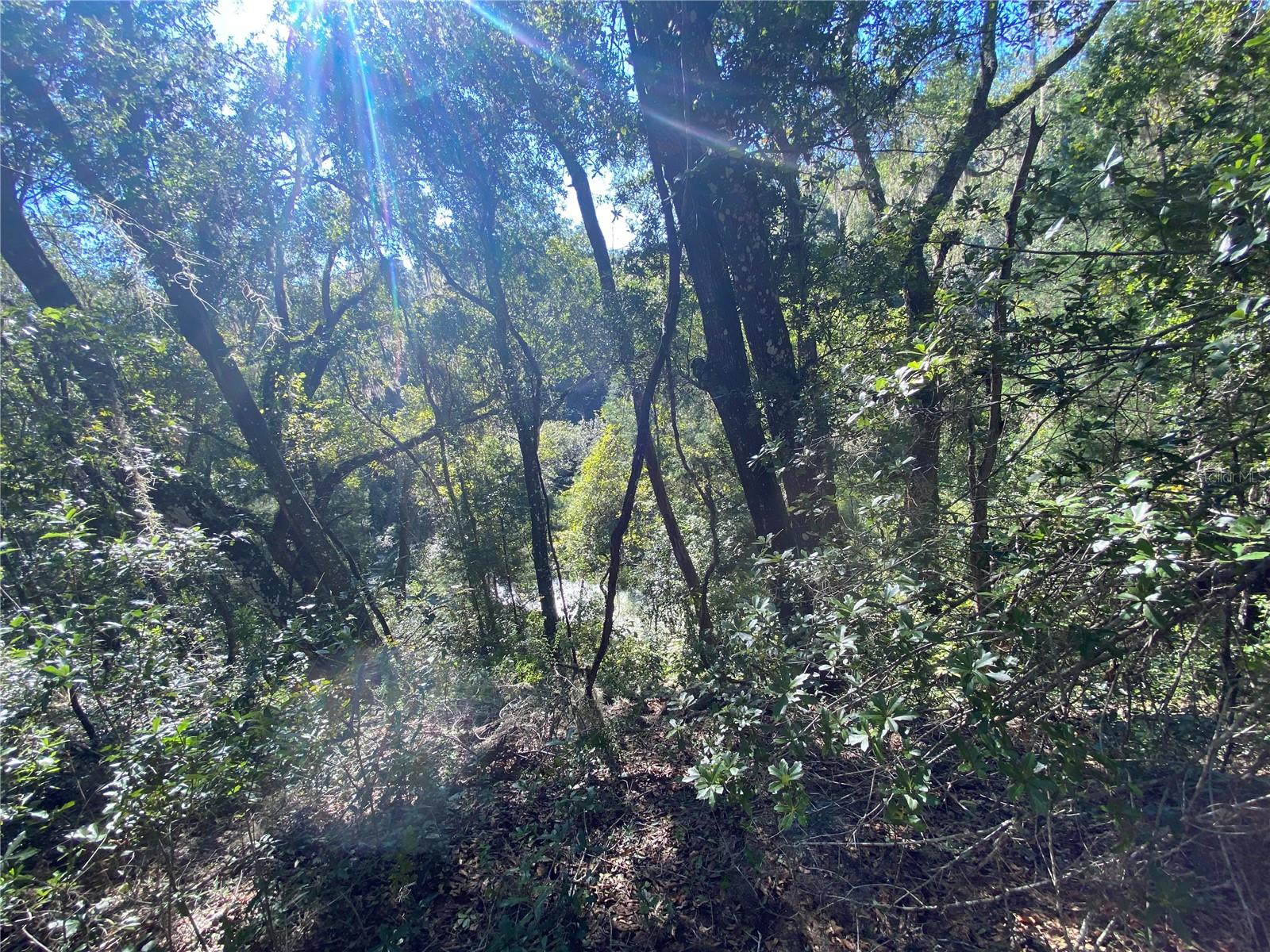 8701 S FRUITION AVE, FLORAL CITY, FL, 34436