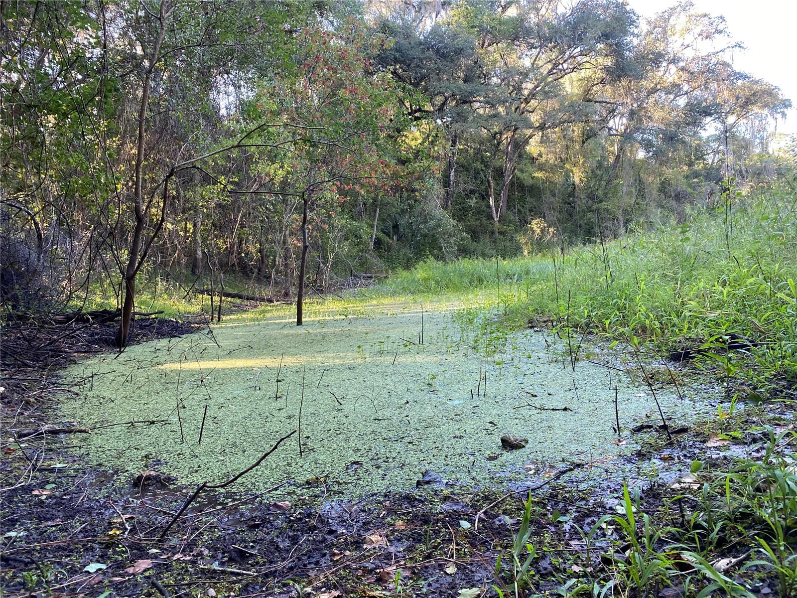 8701 S FRUITION AVE, FLORAL CITY, FL, 34436