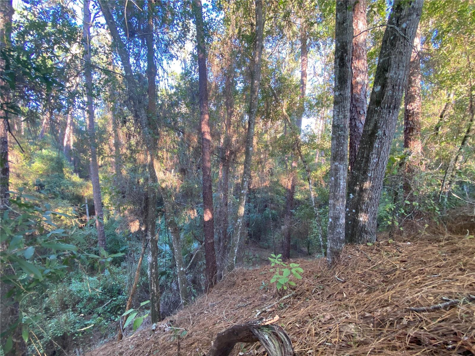 8701 S FRUITION AVE, FLORAL CITY, FL, 34436