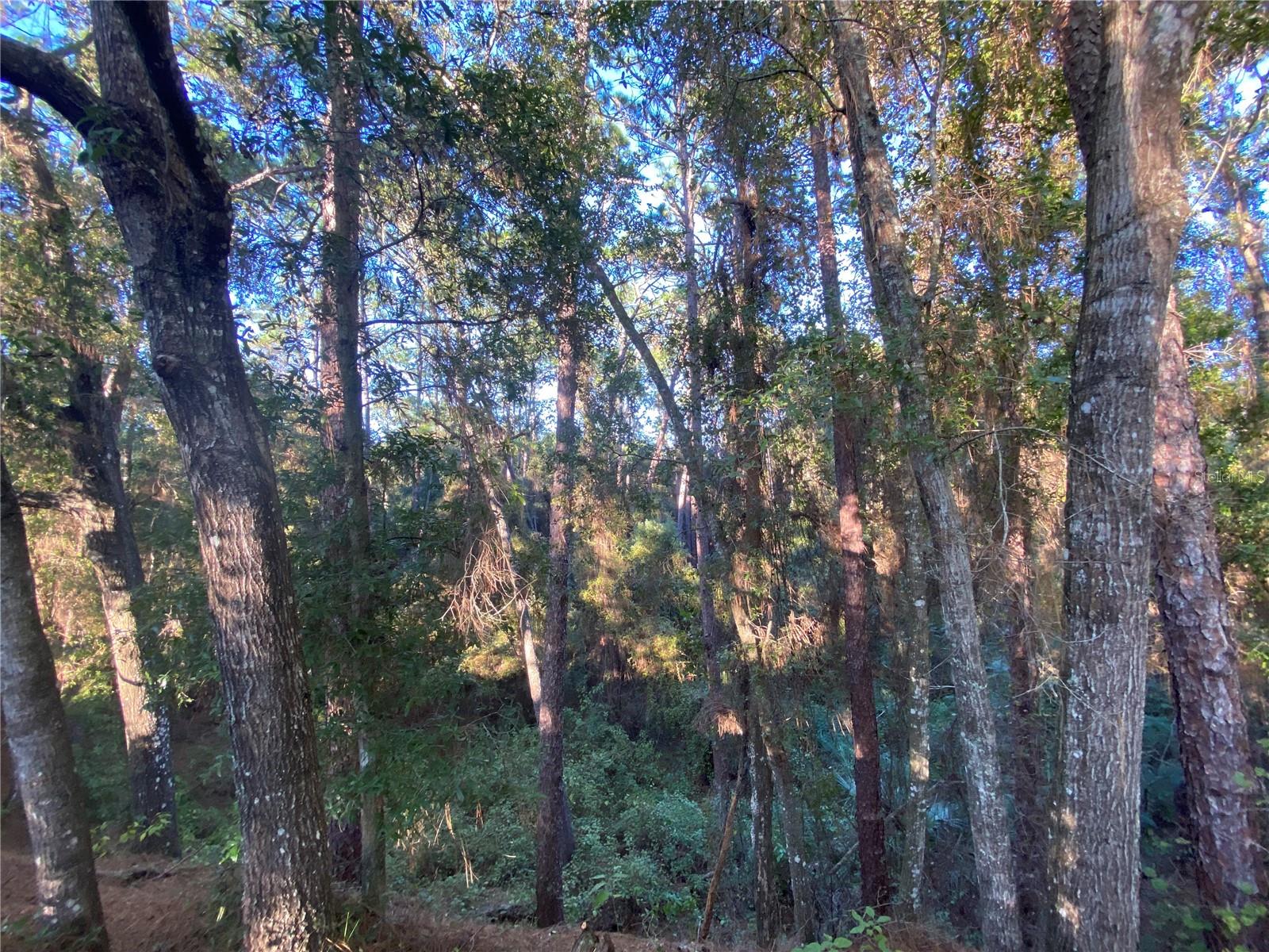 7373 E SAVANNAH CT, FLORAL CITY, FL, 34436