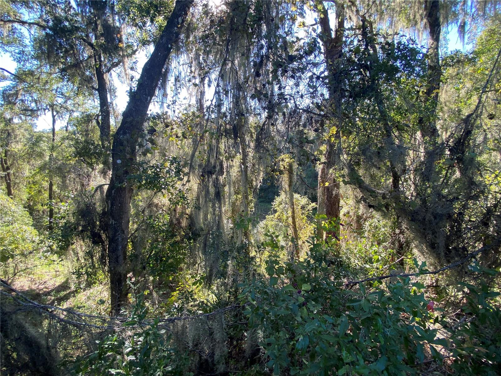 7373 E SAVANNAH CT, FLORAL CITY, FL, 34436