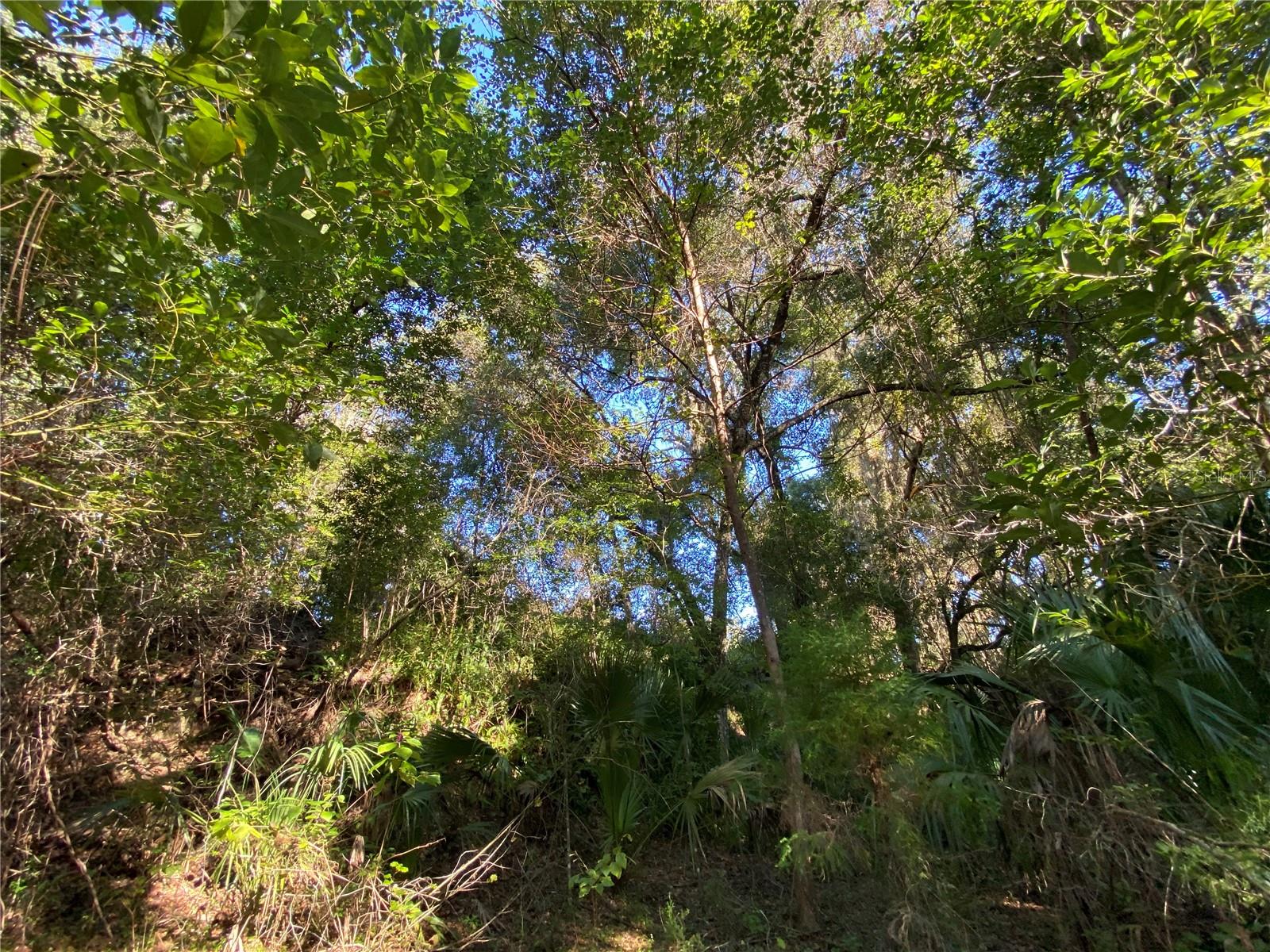 7373 E SAVANNAH CT, FLORAL CITY, FL, 34436