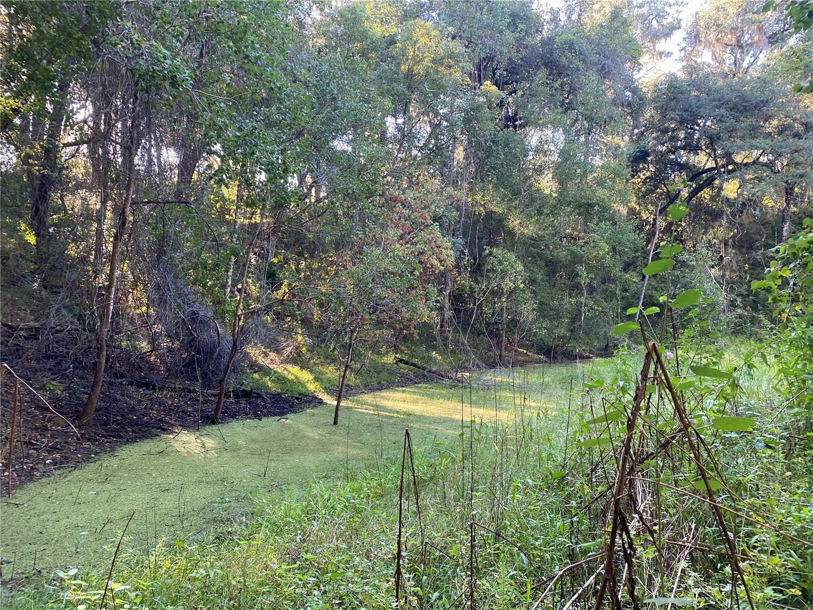 7373 E SAVANNAH CT, FLORAL CITY, FL, 34436