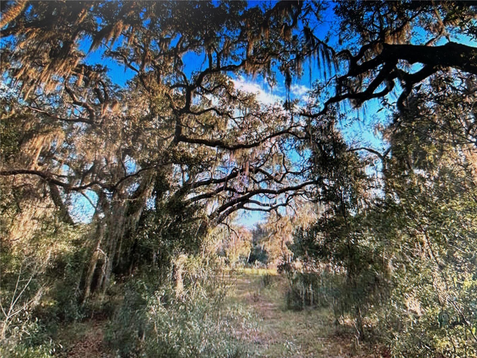 7373 E SAVANNAH CT, FLORAL CITY, FL, 34436