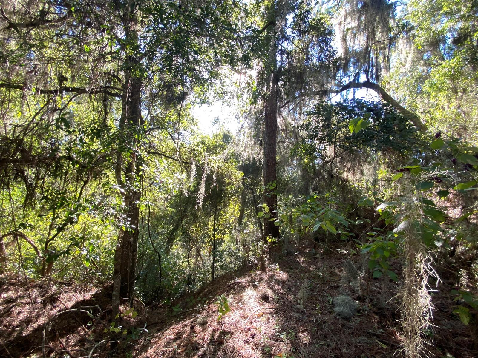 7373 E SAVANNAH CT, FLORAL CITY, FL, 34436