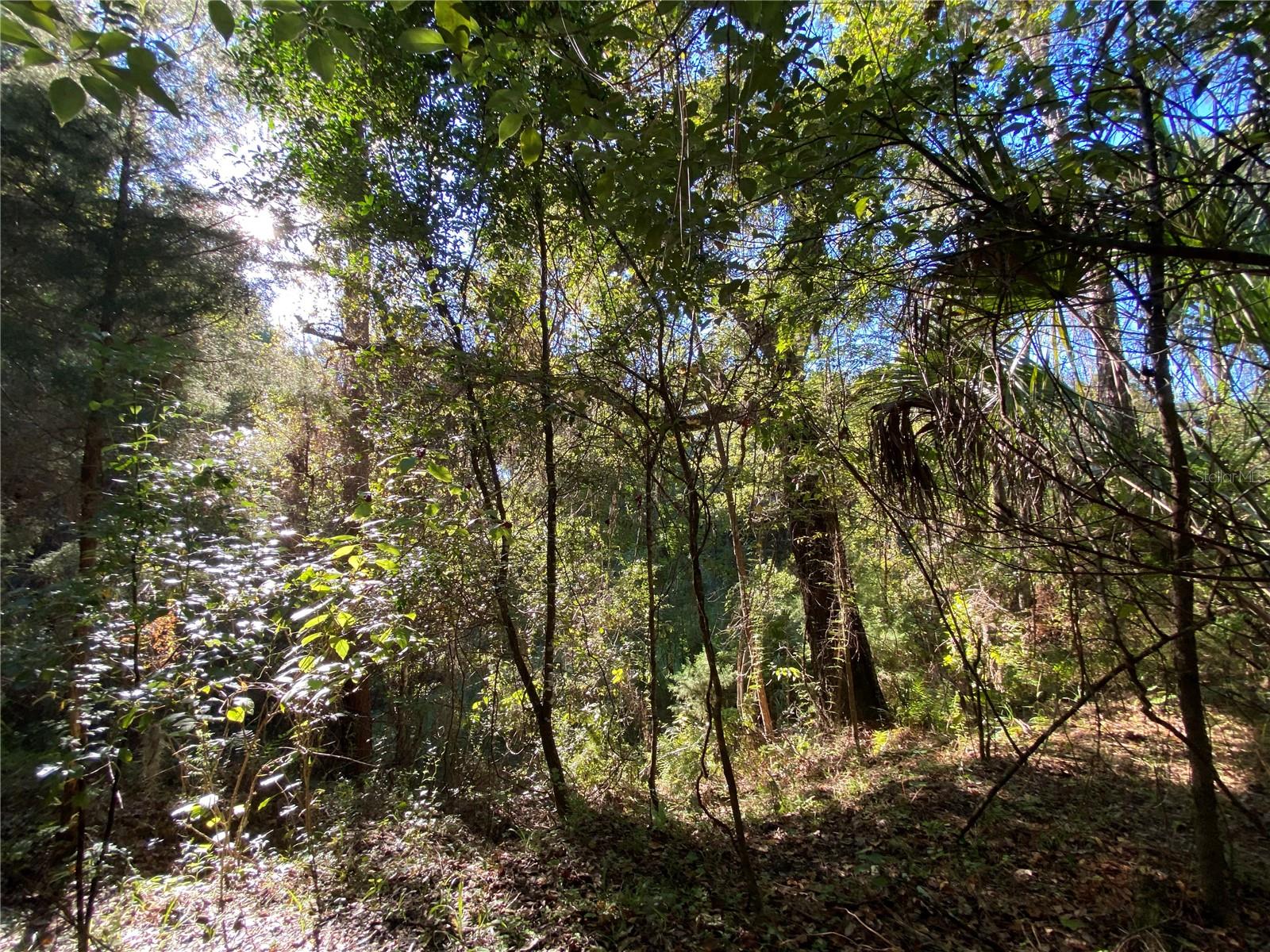 7373 E SAVANNAH CT, FLORAL CITY, FL, 34436