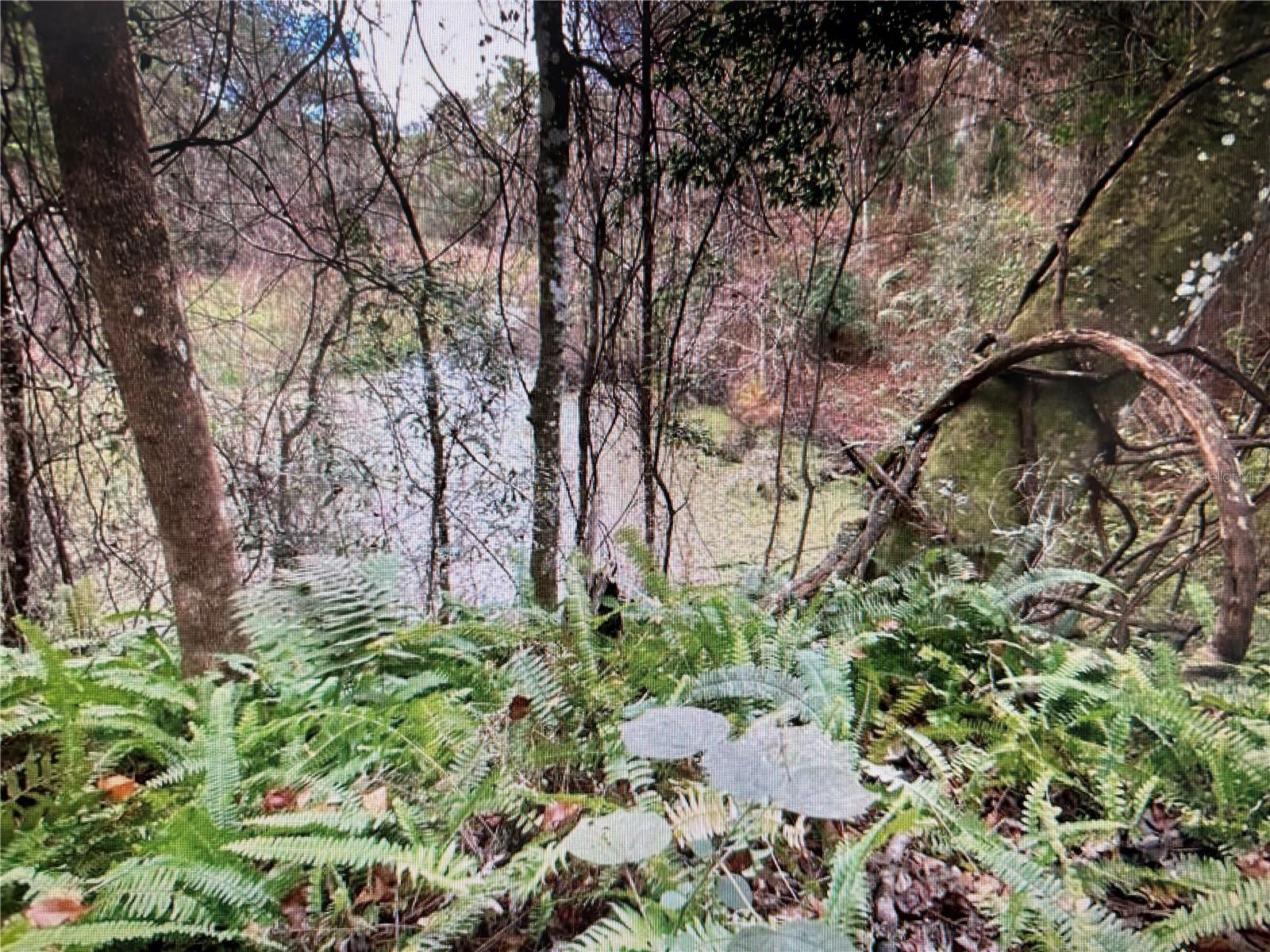 7373 E SAVANNAH CT, FLORAL CITY, FL, 34436