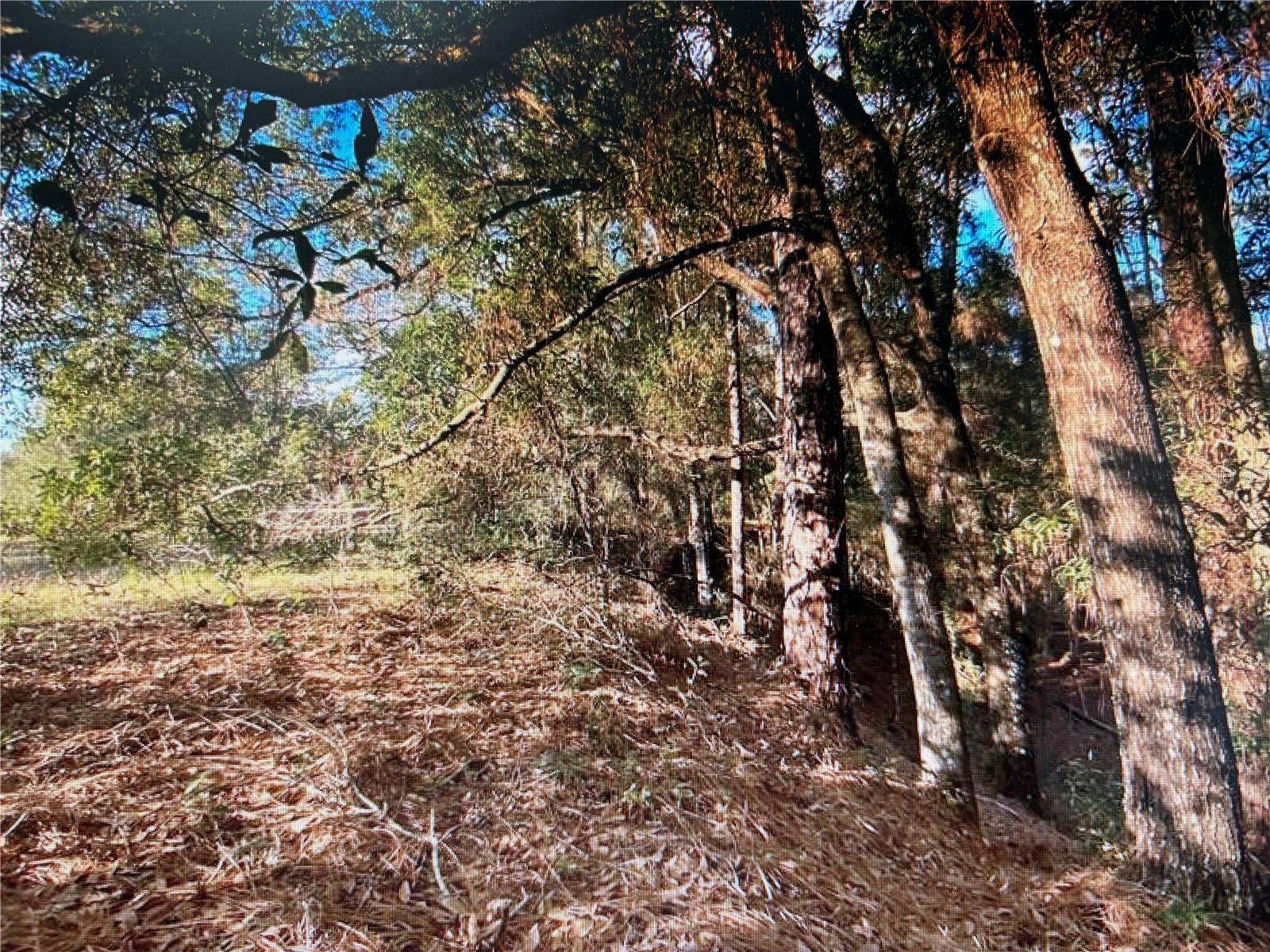 7373 E SAVANNAH CT, FLORAL CITY, FL, 34436