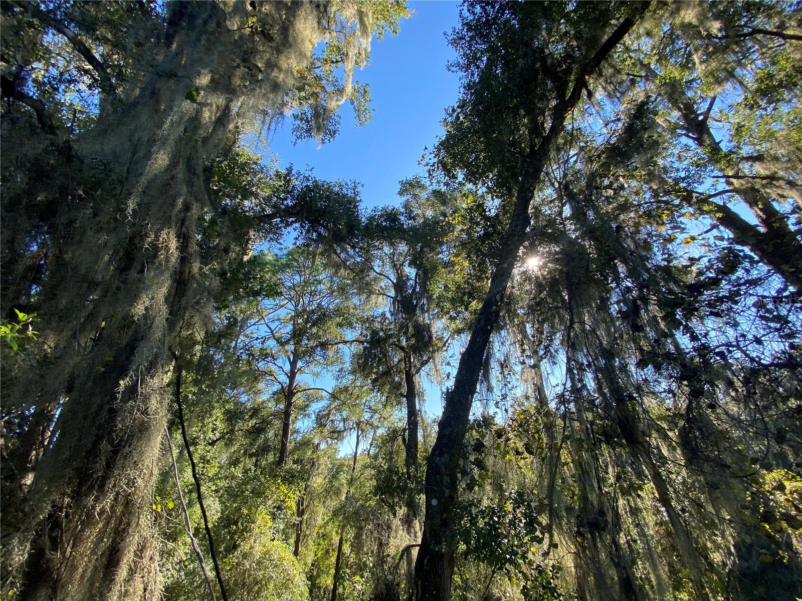 7373 E SAVANNAH CT, FLORAL CITY, FL, 34436