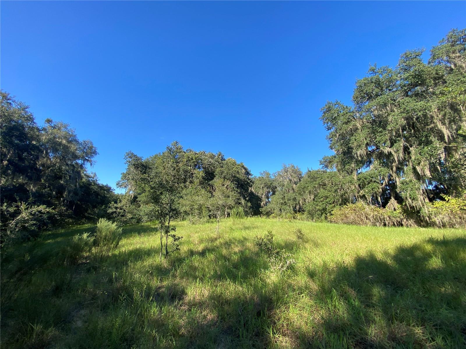 7373 E SAVANNAH CT, FLORAL CITY, FL, 34436