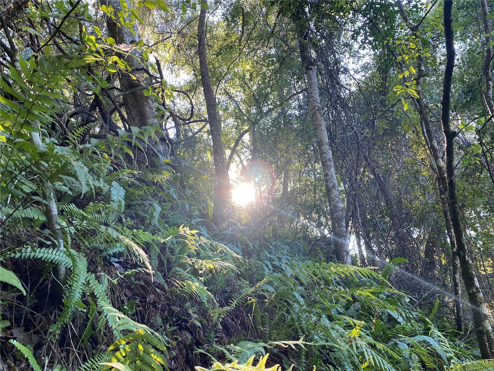 7373 E SAVANNAH CT, FLORAL CITY, FL, 34436