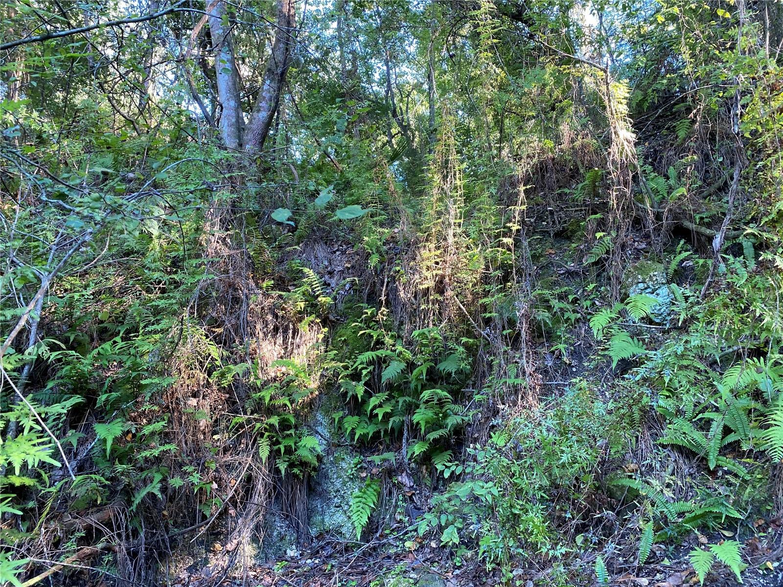 7373 E SAVANNAH CT, FLORAL CITY, FL, 34436