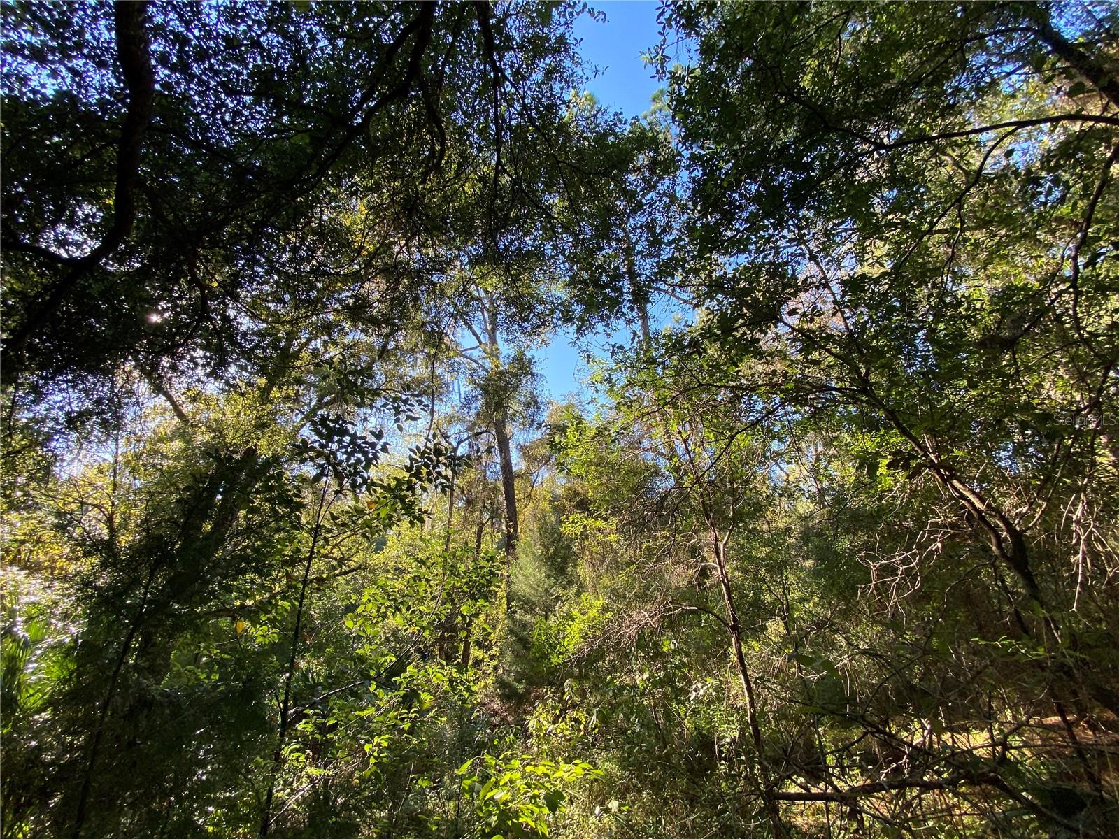 7373 E SAVANNAH CT, FLORAL CITY, FL, 34436